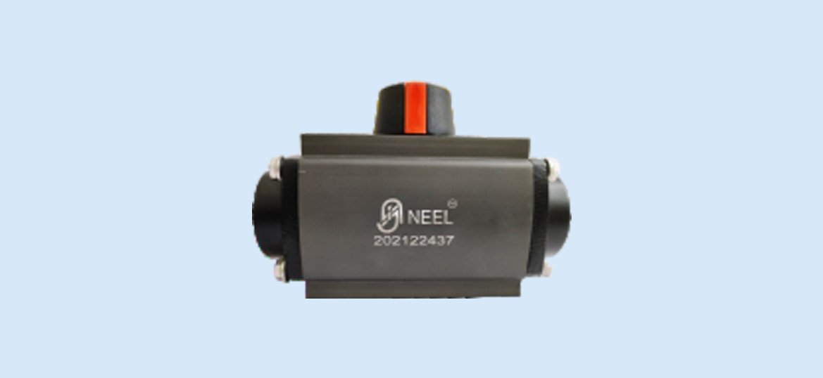 Pneumatic Actuator